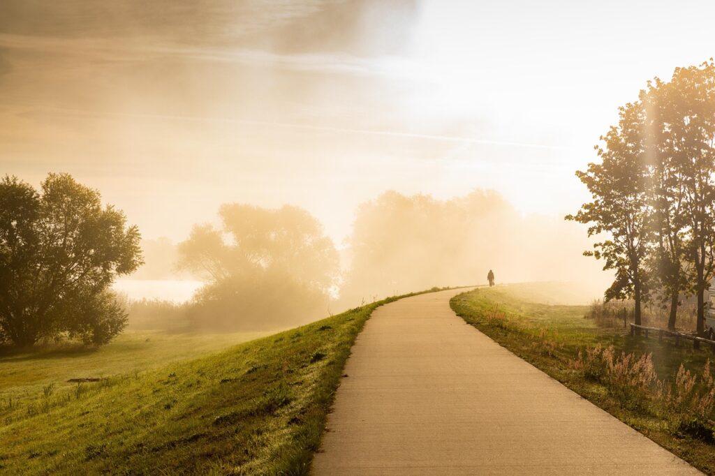 road, field, fog, path, nature, pavement, meadow, grass, trees, person, morning mist, mist, landscape, countryside, lüchow-dannenberg, gartow, germany, road, road, road, road, road, path, path, path, path