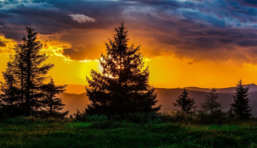 sunset, trees, grass, field, meadow, mountains, silhouettes, tree silhouettes, conifers, coniferous, evergreen, clouds, sky, dusk, twilight, nature, landscape, sunrise, sunset, trees, trees, trees, field, nature, nature, nature, nature, landscape, landscape, sunrise, sunrise, sunrise, sunrise, sunrise