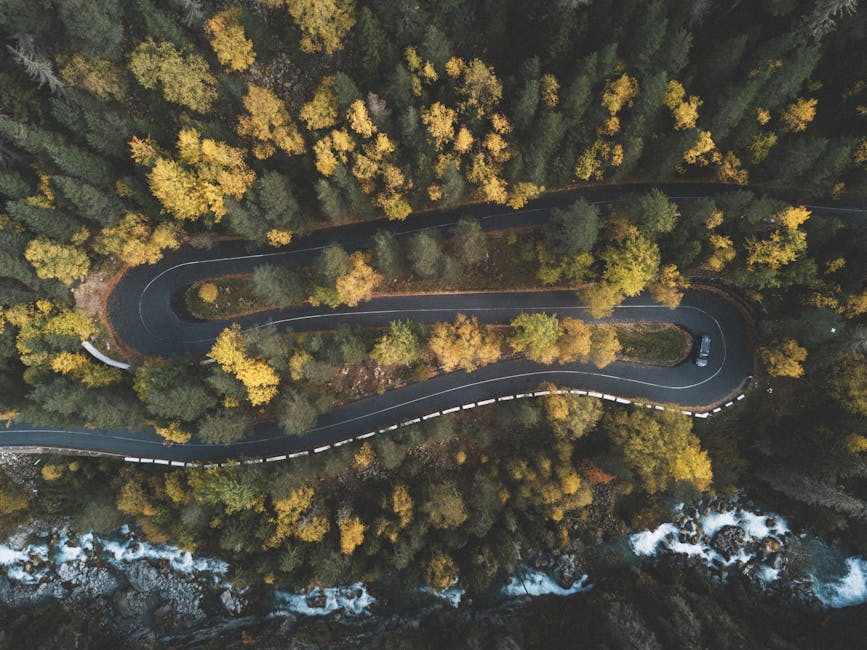 A stunning aerial shot capturing a curvy road through a dense forest in fall, with vibrant foliage.